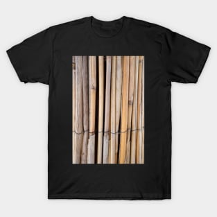 The texture of the dry reeds. T-Shirt